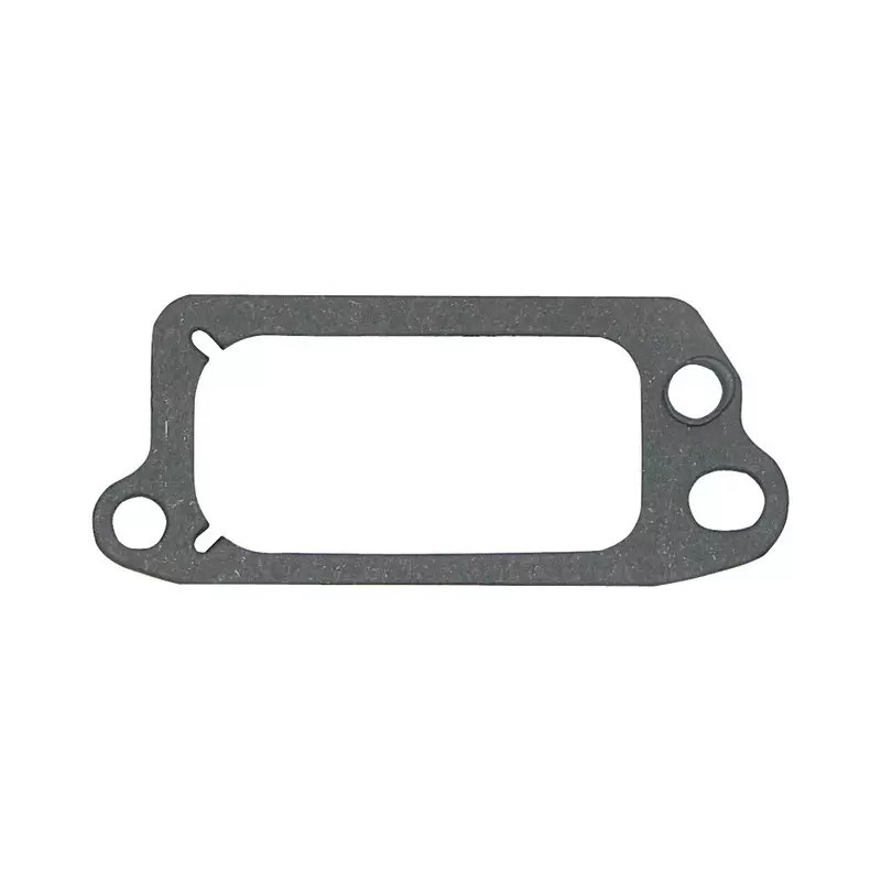 JOINT CACHE SOUPAPE POUR BRIGGS & STRATTON ( - ref. 20784016 | TP Agri