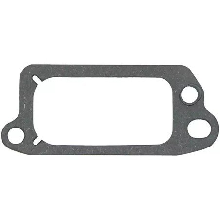 JOINT CACHE SOUPAPE POUR BRIGGS & STRATTON ( - ref. 20784016 | TP Agri