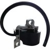 BOBINE ALLUMAGE POUR STIHL (11224001314) - ref. 21401600 | TP Agri