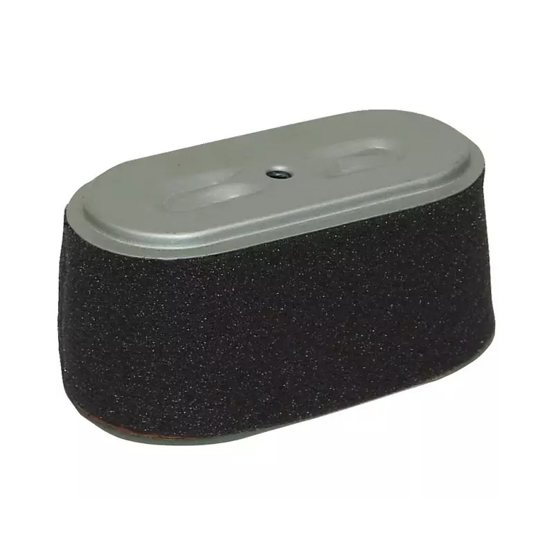 FILTRE A AIR POUR HONDA GX160/F660 (17210734 - ref. 20715060 | TP Agri