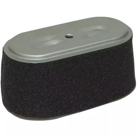 FILTRE A AIR POUR HONDA GX160/F660 (17210734 - ref. 20715060 | TP Agri