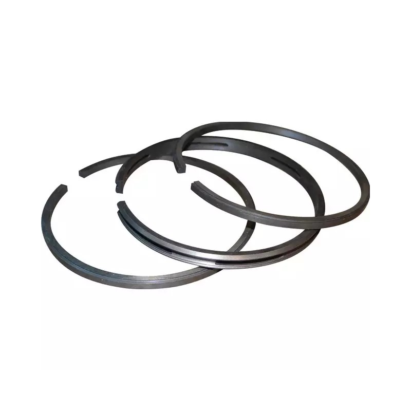 SEGMENTS ORIGINE BRIGGS & STRATTON LE JEU - ref. BS499996 | TP Agri