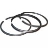 SEGMENTS ORIGINE BRIGGS & STRATTON LE JEU - ref. BS499996 | TP Agri