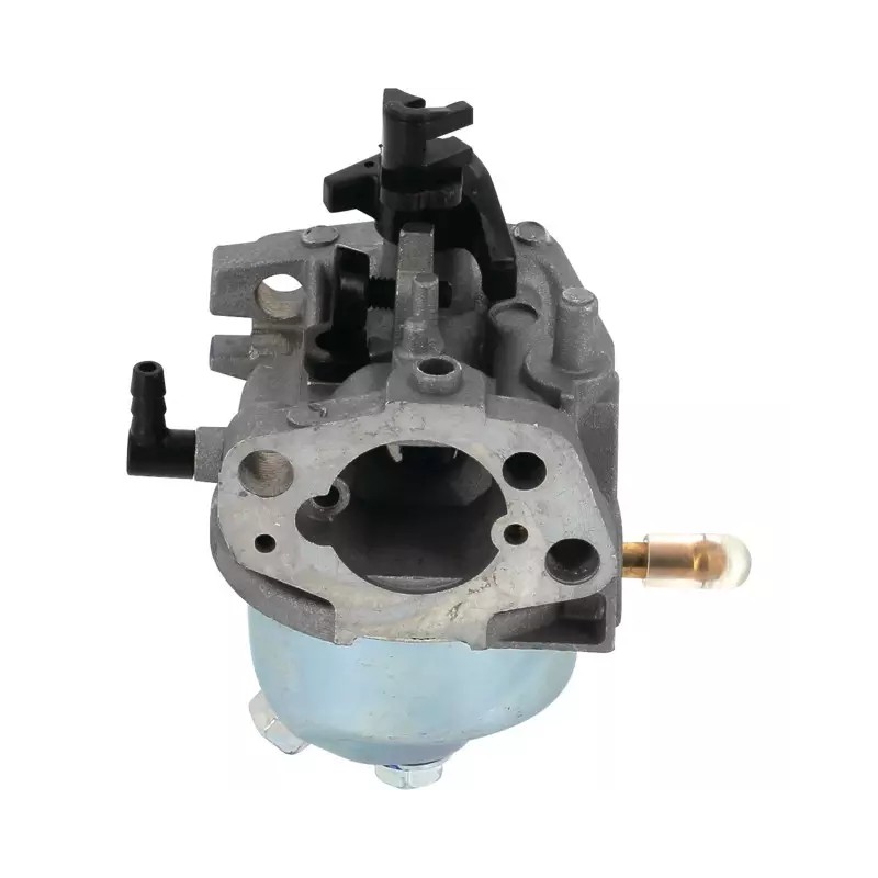 CARBURATEUR RS100 ORIGINE GGP - ref. CG118550697/0 | TP Agri