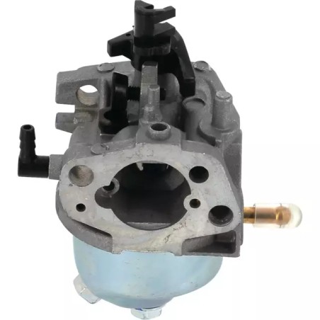 CARBURATEUR RS100 ORIGINE GGP - ref. CG118550697/0 | TP Agri