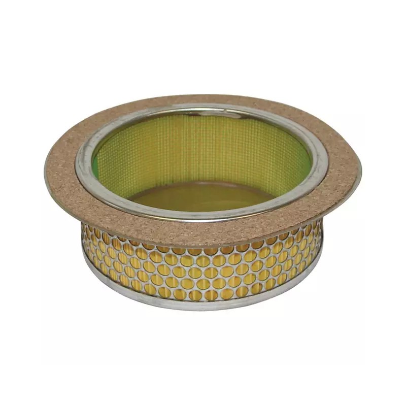 FILTRE A AIR POUR BERNARD MOTEURS BM4/BM5 (0 - ref. 20711002 | TP Agri