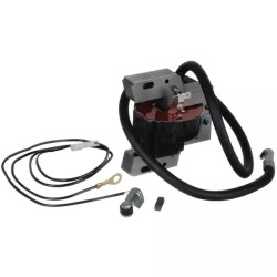 BOBINE ELECTRONIQUE ORIGINE BRIGGS & STRATTO - ref. BS398811 | TP Agri