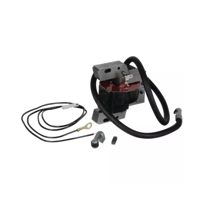 BOBINE ELECTRONIQUE ORIGINE BRIGGS & STRATTO - ref. BS398811 | TP Agri