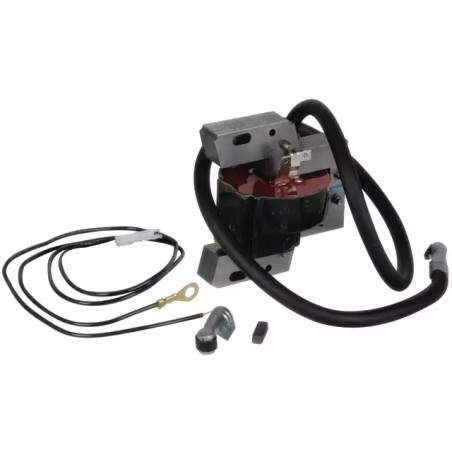 BOBINE ELECTRONIQUE ORIGINE BRIGGS & STRATTO - ref. BS398811 | TP Agri