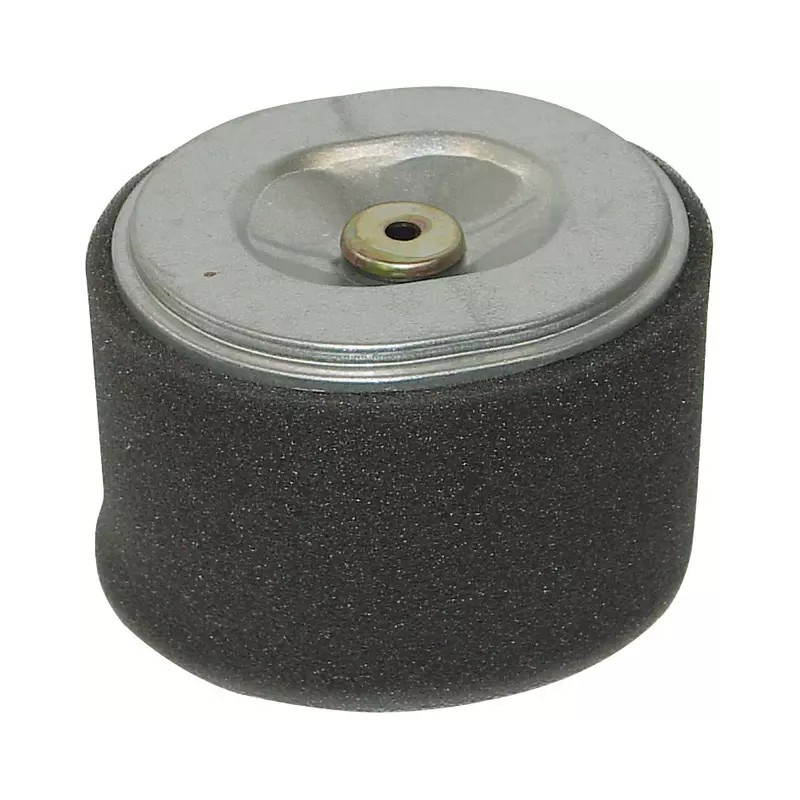 FILTRE A AIR POUR HONDA GX240/270 8/9CV (172 - ref. 20715022 | TP Agri