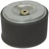 FILTRE A AIR POUR HONDA GX240/270 8/9CV (172 - ref. 20715022 | TP Agri