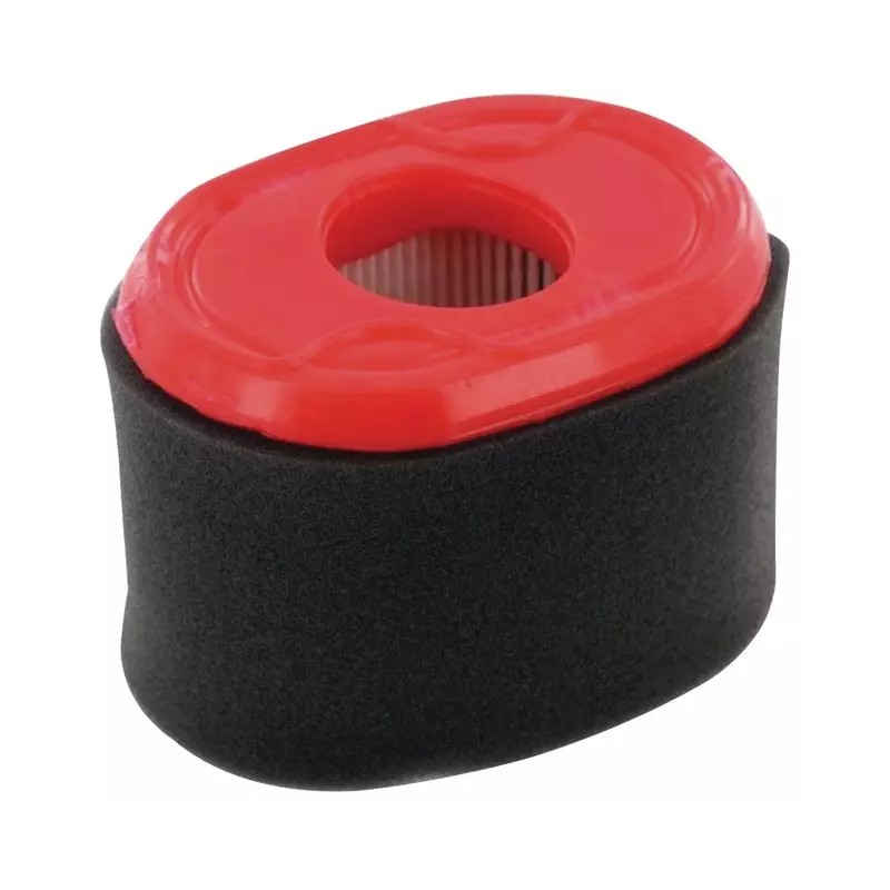 FILTRE A AIR ORIGINE BRIGGS & STRATTON - ref. BS796970 | TP Agri