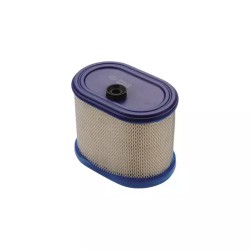 CARTOUCHE FILTRE A AIR ORIGINE BRIGGS & STRA - ref. BS695302 | TP Agri