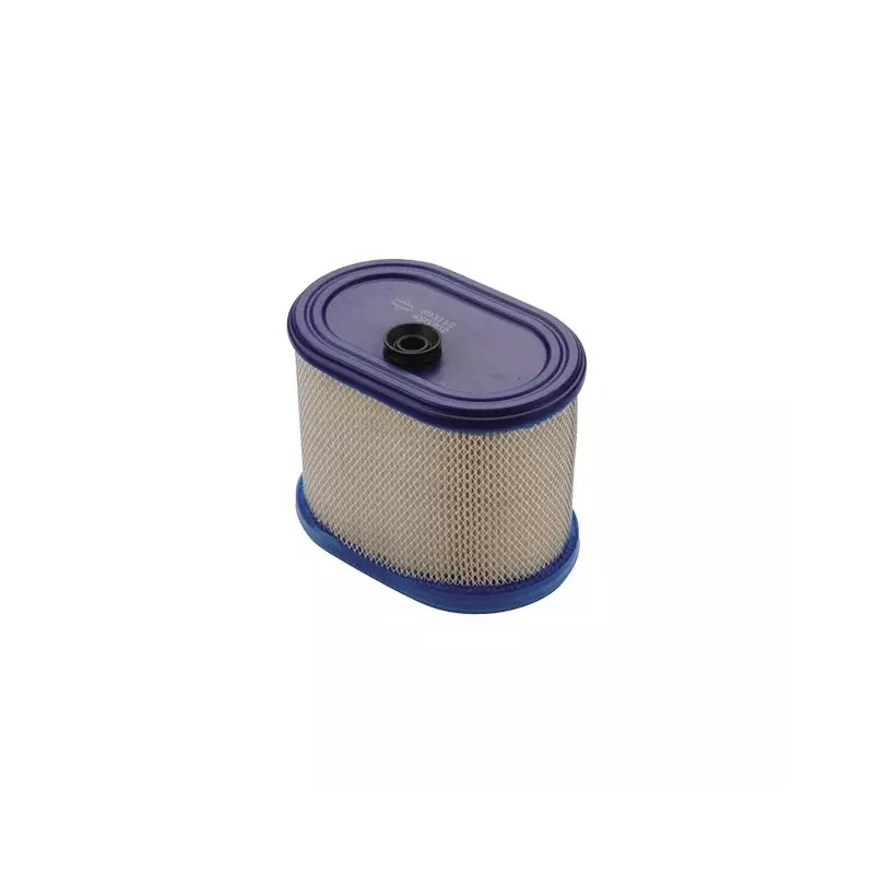CARTOUCHE FILTRE A AIR ORIGINE BRIGGS & STRA - ref. BS695302 | TP Agri