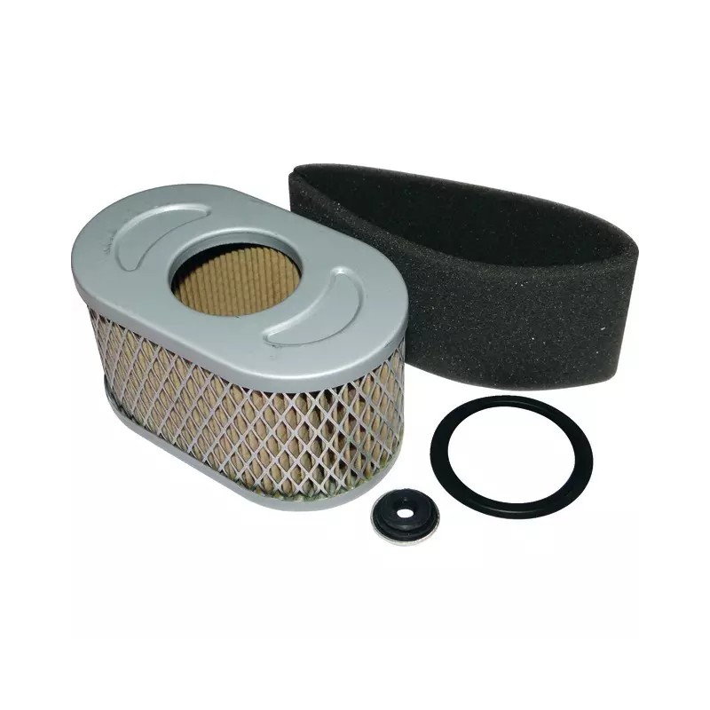 FILTRE A AIR + PRE-FILTRE ORIGINE BRIGGS &ST - ref. BS797033 | TP Agri