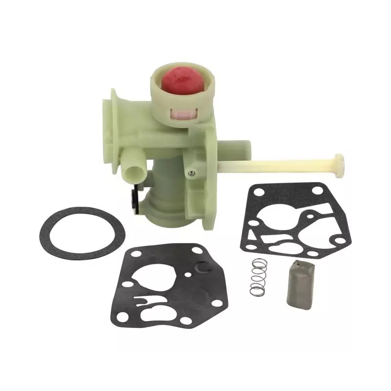 CARBURATEUR POUR BRIGGS & STRATTON - ref. BS498809 | TP Agri