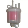 FILTRE A GASOIL ROBIN - ref. RB2436210120 | TP Agri