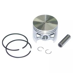 PISTON ET SEGMENT POUR STIHL TS360 (42010302 - ref. 21406528 | TP Agri