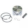 PISTON ET SEGMENT POUR STIHL TS360 (42010302 - ref. 21406528 | TP Agri