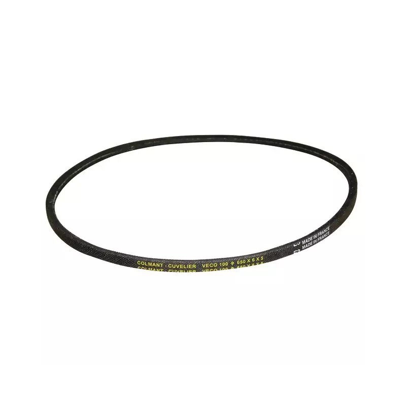 COURROIE POUR BERNARD MOTEUR TYPE BM4 (2748) - ref. 30890748 | TP Agri