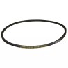 COURROIE POUR BERNARD MOTEUR TYPE BM4 (2748) - ref. 30890748 | TP Agri