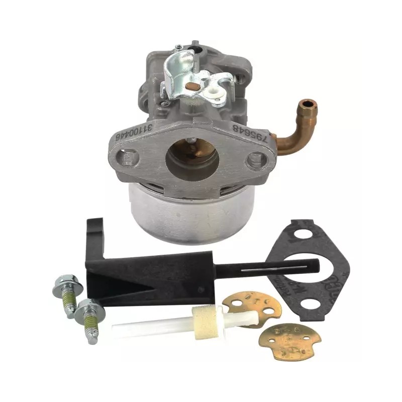 CARBURATEUR ORIGINE BRIGGS & STRATTON - ref. BS798653 | TP Agri