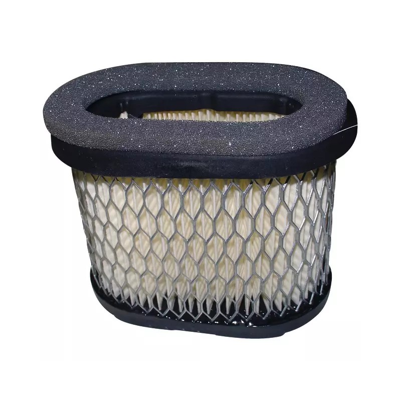 FILTRE A AIR ORIGINE BRIGGS & STRATTON - ref. BS697029 | TP Agri