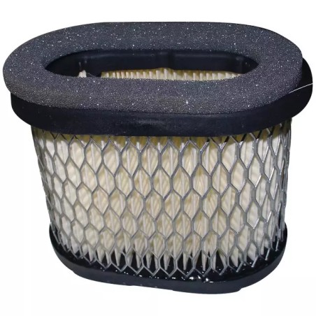 FILTRE A AIR ORIGINE BRIGGS & STRATTON - ref. BS697029 | TP Agri