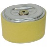 FILTRE A AIR POUR HONDA GX110/120 (17210ZE08 - ref. 20715020 | TP Agri
