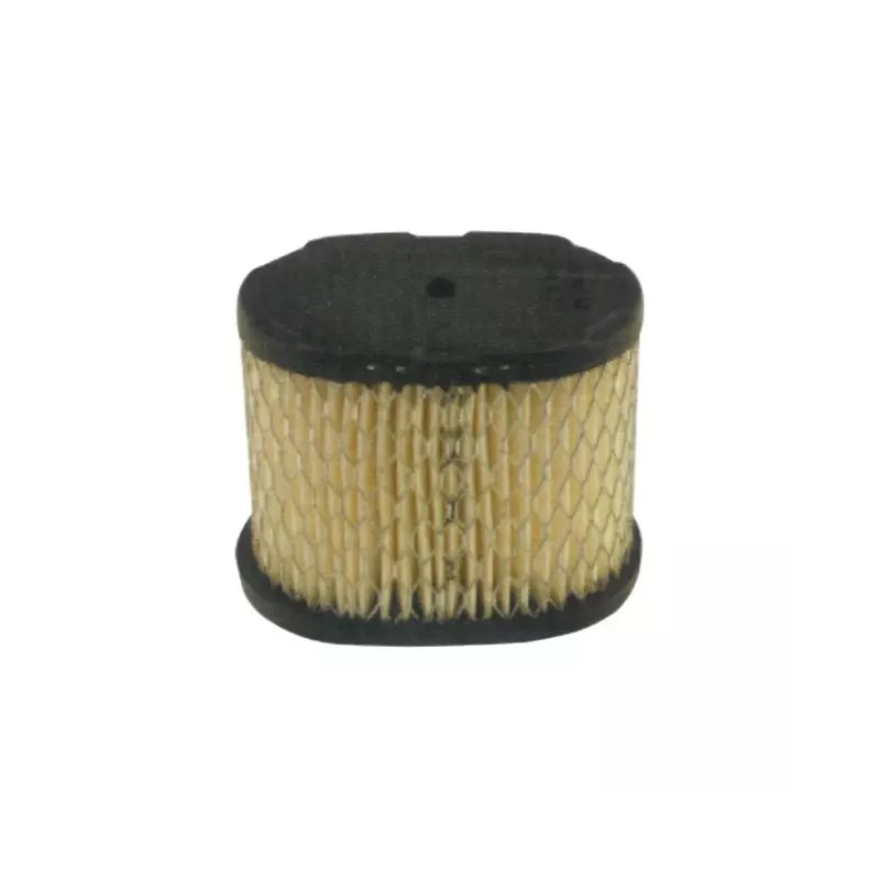 FILTRE A AIR POUR BRIGGS & STRATTON 5,5 CV ( - ref. 20713125 | TP Agri