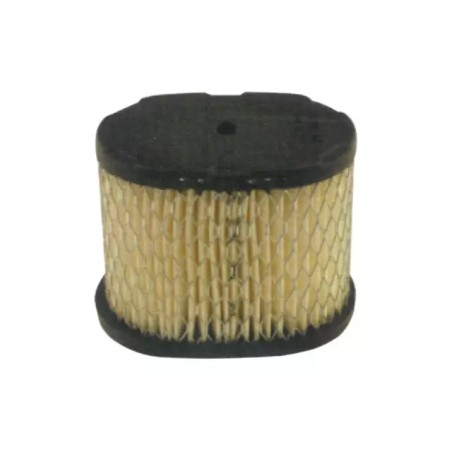 FILTRE A AIR POUR BRIGGS & STRATTON 5,5 CV ( - ref. 20713125 | TP Agri