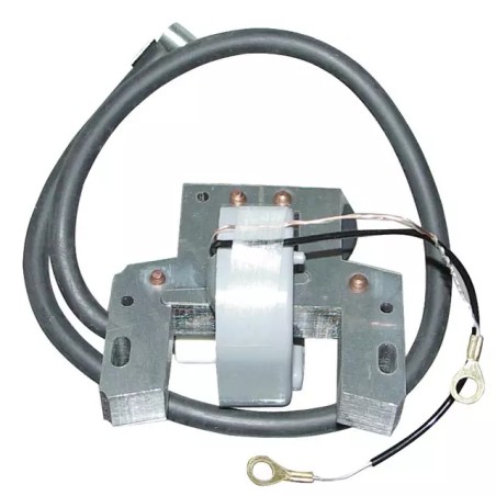 BOBINE ALLUMAGE POUR BRIGGS & STRATTON 7-16C - ref. 20542018 | TP Agri