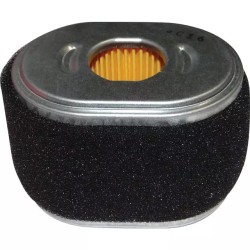 FILTRE A AIR + PREFILTRE ORIGINE BRIGGS & ST - ref. BS590601 | TP Agri