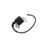 BOBINE ALLUMAGE POUR HONDA GX (30500ZE1003) - ref. 20545012 | TP Agri
