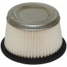 FILTRE A AIR POUR ASPERA H/HS/V/LAV (30727) - ref. 20709018 | TP Agri