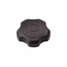 BOUCHON DE RESERVOIR ORIGINE BRIGGS & STRATT - ref. BS795027 | TP Agri