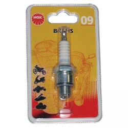 BOUGIE BR6HS NGK - ref. 20540052 | TP Agri