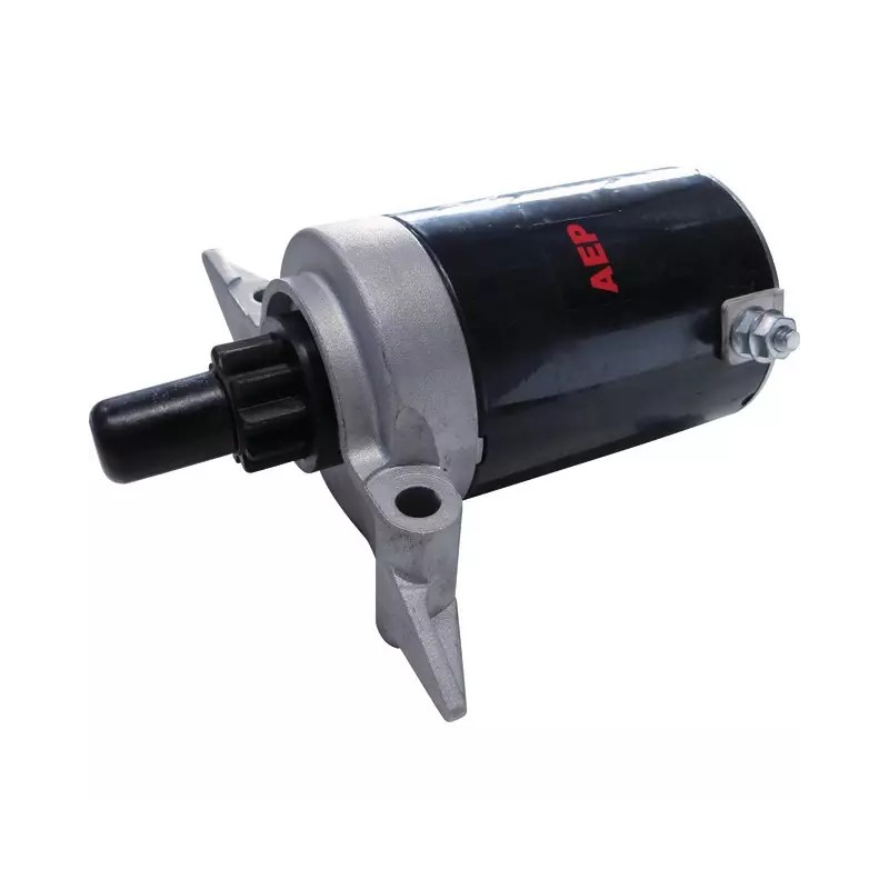DEMARREUR ELECTRIQUE POUR TECUMSEH TVT691/VT - ref. 20763115 | TP Agri