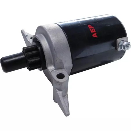 DEMARREUR ELECTRIQUE POUR TECUMSEH TVT691/VT - ref. 20763115 | TP Agri