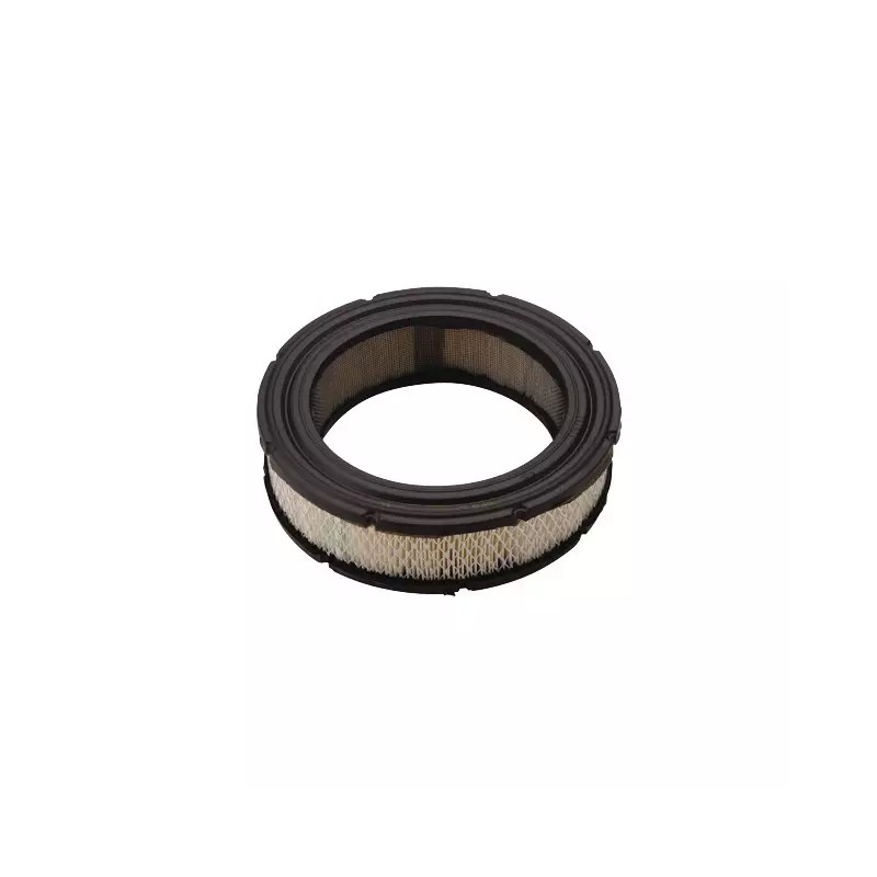 CARTOUCHE FILTRE A AIR ORIGINE BRIGGS & STRA - ref. BS692519 | TP Agri