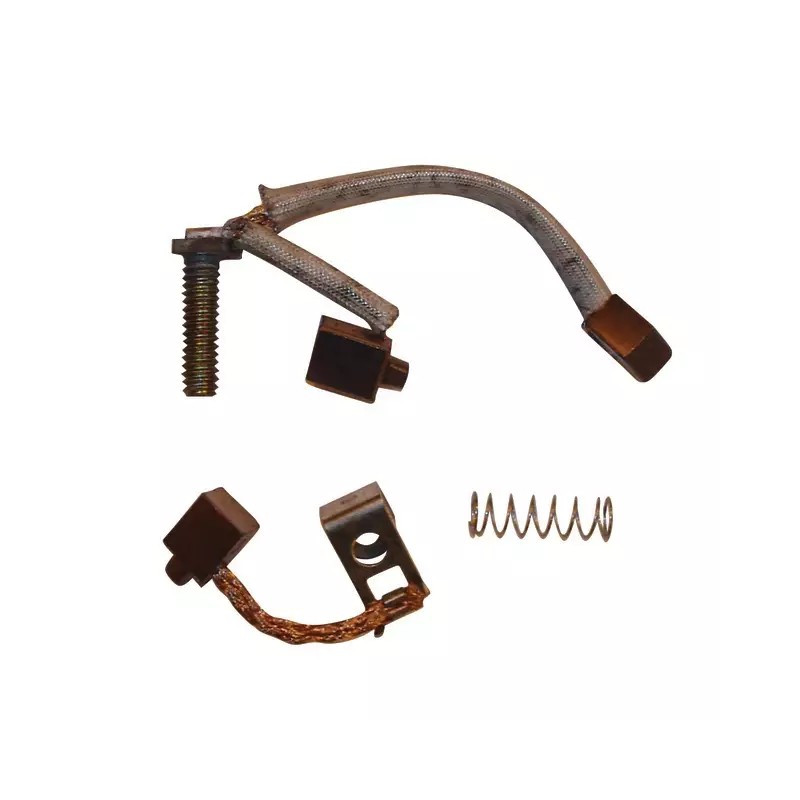 CHARBONS DE DEMARREUR ORIGINE BRIGGS & STRAT - ref. BS497608 | TP Agri