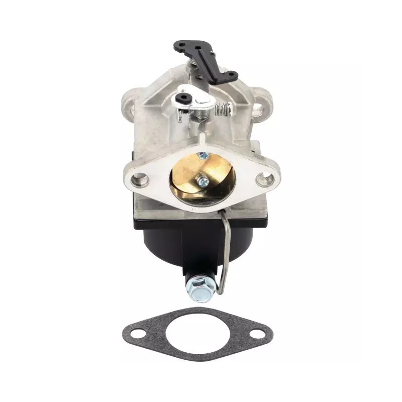 CARBURATEUR POUR TECUMSEH OHV110 A OHV135 ( - ref. 20620120 | TP Agri
