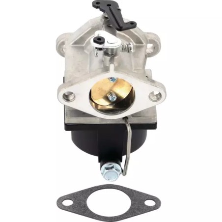 CARBURATEUR POUR TECUMSEH OHV110 A OHV135 ( - ref. 20620120 | TP Agri