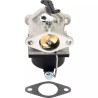 CARBURATEUR POUR TECUMSEH OHV110 A OHV135 ( - ref. 20620120 | TP Agri