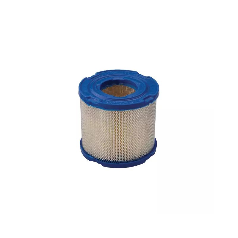 FILTRE AIR ORIGINE BRIGGS & STRATTON - ref. BS393957S | TP Agri