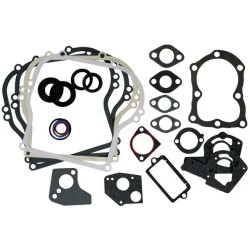 POCHETTE JOINTS ORIGINE BRIGGS & STRATTON - ref. BS495603 | TP Agri