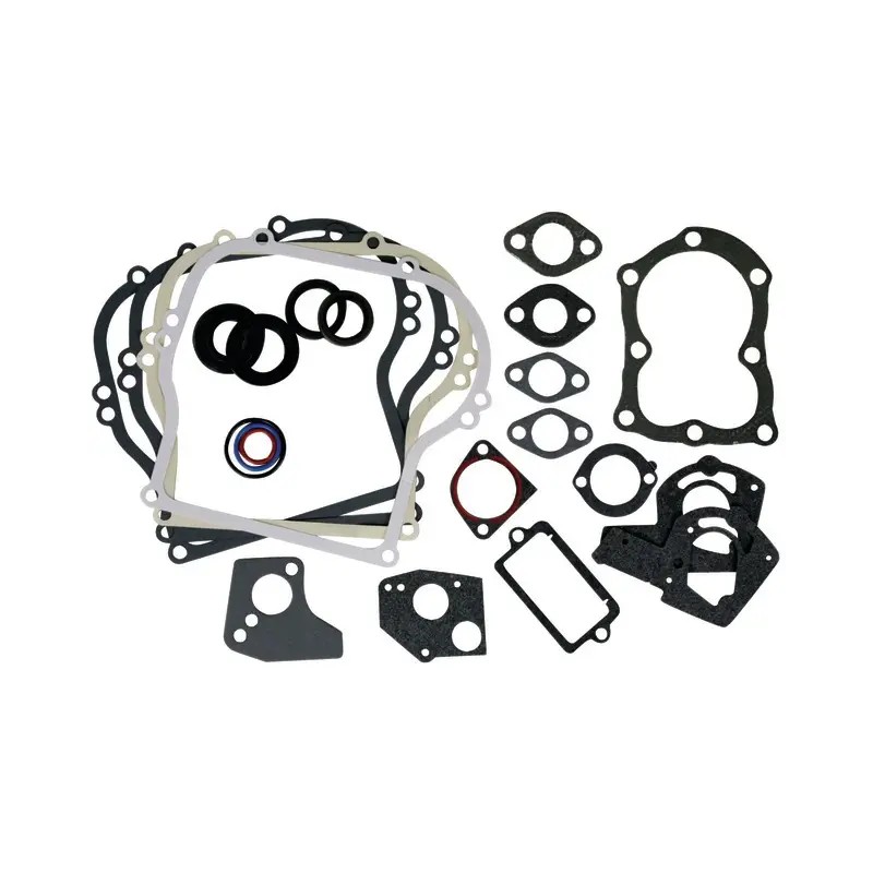 POCHETTE JOINTS ORIGINE BRIGGS & STRATTON - ref. BS495603 | TP Agri