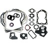 POCHETTE JOINTS ORIGINE BRIGGS & STRATTON - ref. BS495603 | TP Agri