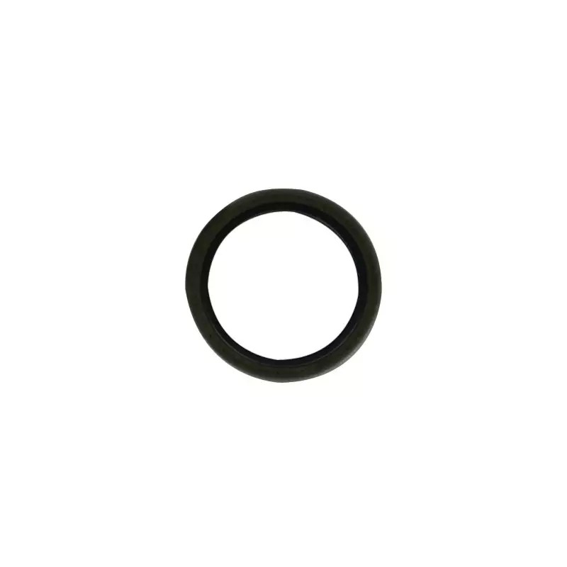 JOINT SPI ORIGINE BRIGGS & STRATTON - ref. BS291675S | TP Agri