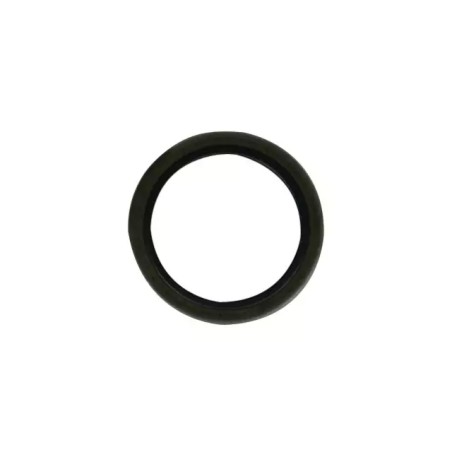JOINT SPI ORIGINE BRIGGS & STRATTON - ref. BS291675S | TP Agri